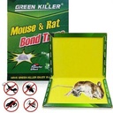 PIEGE A COLLE EFFICACE POUR CHASSER RATS ET SOURIS